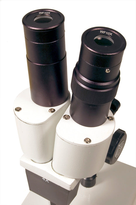 Levenhuk 2ST stereo microscope, eyepieces