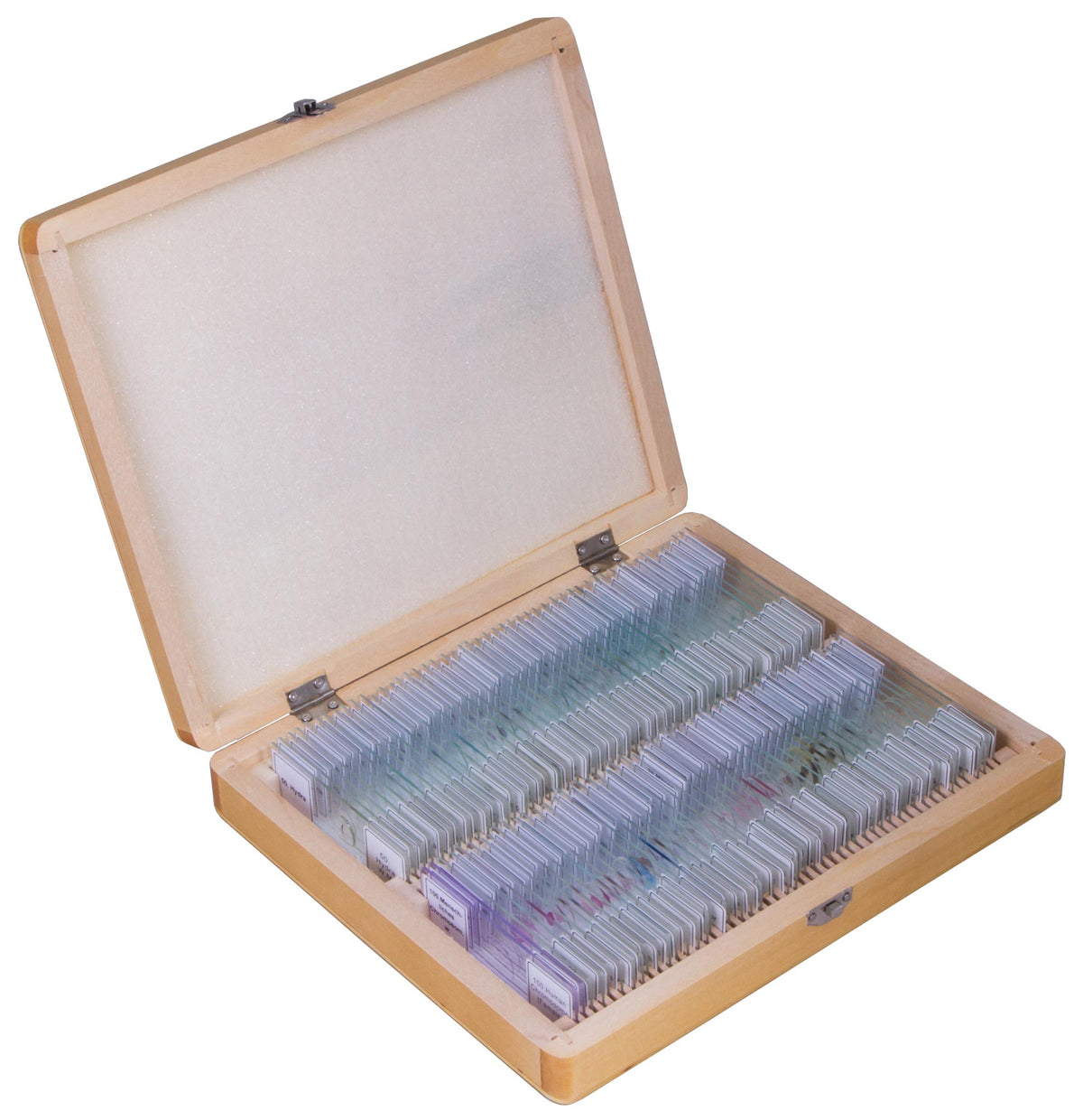 Bresser Prepared Slides Set, 100 Slides