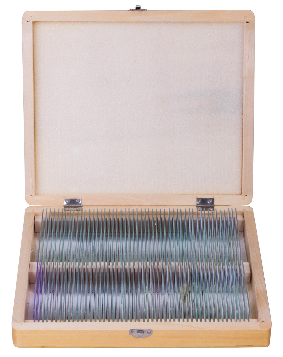 Bresser Prepared Slides Set, 100 Slides, photo 2