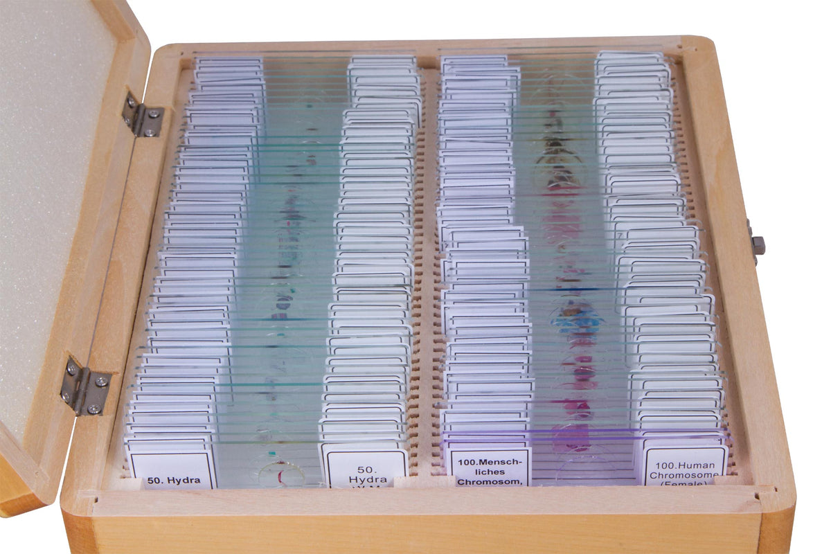Bresser Prepared Slides Set, 100 Slides, photo 3