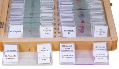 Bresser Prepared Slides Set, 100 Slides, photo 4