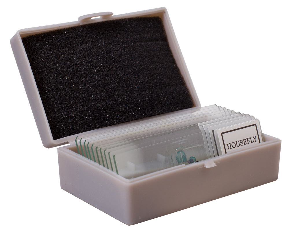 Slide box from the Levenhuk K50 kit
