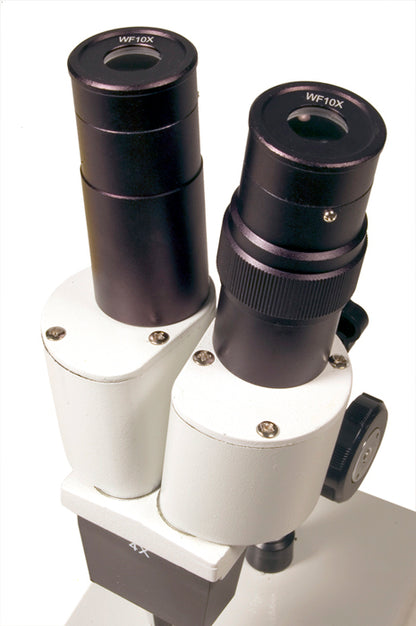 Levenhuk 2ST stereo microscope, eyepieces